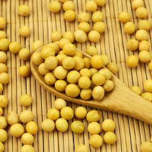 Tùy biến đậu nành gói nhỏ không biến đổi gen hữu cơ cao protein khô vàng đậu tương - Product Image 2