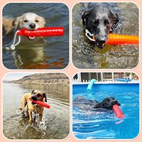 Jouet flottant pour chien NiBao - Jouet aquatique interactif pour l'entraînement et le jeu de rapport, pour l'extérieur