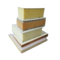 <span class=keywords><strong>Pannelli</strong></span> Sandwich Industriali <span class=keywords><strong>per</strong></span> Esterni con Anima in Schiuma di Fibra di Vetro <span class=keywords><strong>per</strong></span> Celle Frigorifere - Product Image 2