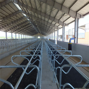 Cadre léger de Structure En Acier Bovins Ferme Maison Vache Hangar En Métal Feuille/Panneau sandwich En Acier H En Acier A-190509-3 Q235 Q345 GO - Product Image 6