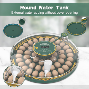 Wonegg 52H giá thấp trứng lồng ấp chạy trên pin tự động Temp trứng thử nghiệm được xây dựng trong - Product Image 3