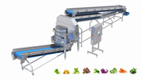 Lonkia Industriële Suikerbieten Verwerkingslijn Sla Groenten Salade Waslijn Groente Wasmachine Lijn