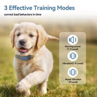 Zweiwege Kein Schock Sicherer und effektiver Hund Elektrisches Halsband mit einstellbarer Empfindlichkeit Beep Vibration