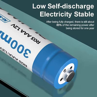 PUJIMAX 12 piles rechargeables Ni-MH AA R06 1,2 V 800 mAh et 12 piles NiMH AAA R03 1,2 V 300 mAh pour jouets télécommandés