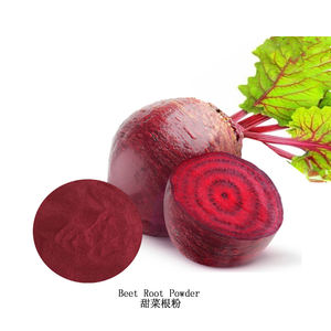 ผงบีทรูทสกัดผงบีทรูทสีแดงแห้งพร้อมตัวอย่างฟรี - Product Image 3