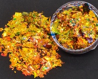 SHYZ gros Multichrome paillettes caméléon flocon ongles Mica poudre holographique revêtement Pigment pour brillant