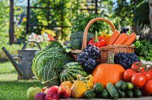 Prodotti chimici organici di base EDTA Cu della fabbrica di Hibong per l'industria alimentare e cosmetica hanno fornito direttamente la forma della polvere - Product Image 5