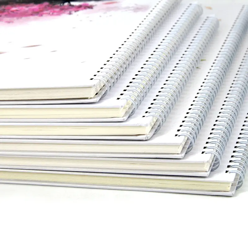 Fabbrica binder notebook Rayson TD-13 3:1 metallo calandra doppio filo libro rilegatrice macchina