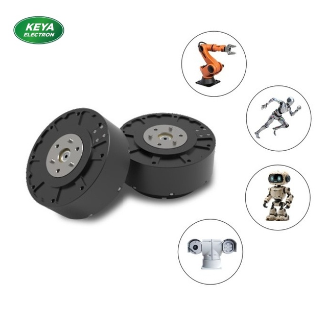 Low Speed High Torque DC 48V Robot Joint Actuator with Encoder/Driver/Reducer