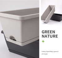 Nouvelle jardinière Holun, pot rectangulaire en plastique, idéal pour la culture de légumes et la plantation de plantes succulentes à la maison
