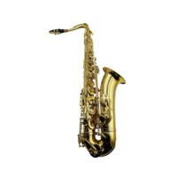 SEASOUND OEM High Quality Cheap Gold BB Tenor Saxophone Woodwind Instrument with Brass Body Adjustable Features JYTS103