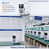 Machine à hydrogène et oxygène 450 ml/min pour usage domestique, YISHENGRUI, adaptateurs de prise standard internationaux offerts, livraison en 20 jours