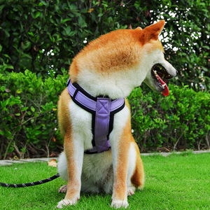 <span class=keywords><strong>Harnais</strong></span> de sécurité réfléchissant en nylon pour <span class=keywords><strong>chien</strong></span>, avec poignée supérieure, anti-traction, style gilet, sangle de poitrine, pour promenade nocturne, réglable, rembourré, <span class=keywords><strong>harnais</strong></span> de mode pour animaux de compagnie - Product Image 2