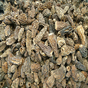 <span class=keywords><strong>Prix</strong></span> de gros, <span class=keywords><strong>morilles</strong></span> jaunes sauvages séchées comestibles de qualité supérieure - Product Image 6