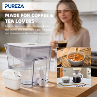 Système de filtration d'eau Pureza, filtre à eau domestique, cartouche de remplacement compatible avec B-rita 1023124, 6 pièces