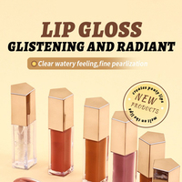 Gloss à lèvres personnalisé effet nacré, hydratant, brillant, rouge à lèvres liquide transparent, gloss brillant pour des lèvres plus pulpeuses