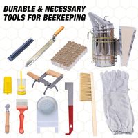 Kit de démarrage pour ruche à 10 cadres, boîtes à abeilles, kit de démarrage comprenant des fournitures d'apiculture, kit d'outils