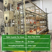 Cage de poulets de chair de type H à environnement contrôlé avec système de récolte par chaîne pour 50 000 oiseaux, ferme avicole commerciale à grande échelle en Russie