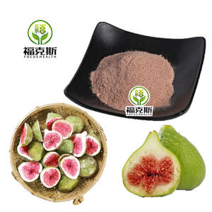 Polvere di Fico Liofilizzata Premium 100% Naturale e Biologica, Ingrediente Puro di Frutta per Alimenti e Bevande Salutari - Product Image 2