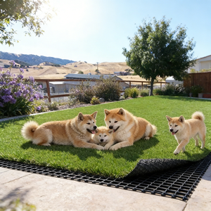 <span class=keywords><strong>Gazon</strong></span> artificiel pour maison, balcon, jardin, clôture, aménagement paysager - Product Image 3