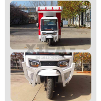 Camion de restauration rapide électrique à 3 roues, camion de crème glacée, construction en acier inoxydable résistant à la rouille, évier, cuisine mobile pour parc, plage