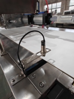 Machine automatique de fabrication de pépites de chocolat de 800 mm, ligne de dépose de pépites de chocolat