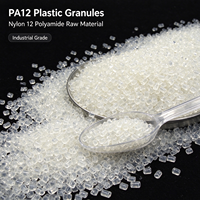 PA12 Nylon12 vierge, matière première, granulés transparents, faible absorption d'eau, plastique d'ingénierie