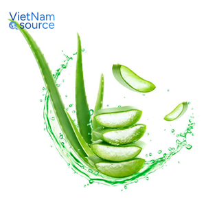 Hojas de aloe vera frescas de alta calidad-100% orgánico grueso y jugoso para bebidas para el cuidado de la piel y beneficios de Aloe Vera Puro de VNS - Product Image 2