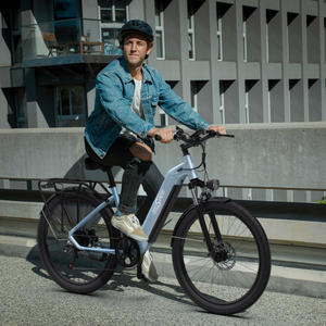 Прямая поставка, Электрический гибридный велосипед 250 Вт, 48 В, 18,2 А, в наличии, электрический велосипед из алюминиевого сплава - Product Image 6