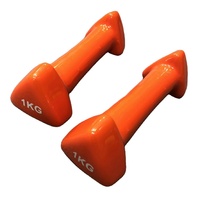 Haltères à tête triangulaire portables de vente directe d'usine poids libres enduits de néoprène colorés pour femmes hommes équipement de fitness