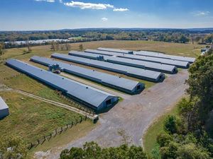 조립식 가벼운 강철 구조물 육계 닭장 집 가금류 집 - Product Image 4