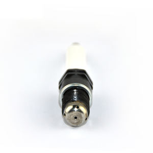 Bougies d'allumage en iridium pour <span class=keywords><strong>moteur</strong></span> à gaz CHP, <span class=keywords><strong>moteur</strong></span> alternatif, cuisinière à gaz, <span class=keywords><strong>bougie</strong></span> d'allumage pour Jenbacher, <span class=keywords><strong>bougie</strong></span> d'allumage industrielle - Product Image 3