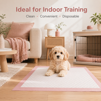 Tapis d'apprentissage pour chiots roses OEM super absorbants et jetables pour l'apprentissage de la propreté en intérieur et la protection de la maison