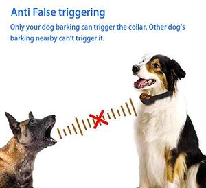 Dog collar IP65 Waterproof Type-C <b>charge</b> <b>cable</b> No Static shock Vibration beep anti-bark collar for dogs - Product Image 4