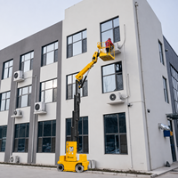 Plateforme élévatrice verticale à mât pour deux personnes, 200 kg, rotation à 360 degrés, électrique