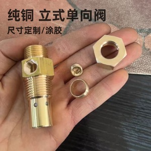 Plowing Copper Vertical Check Valve 1/2 In Gas Normal Temperature General Application OEM Customized - Product Image 1