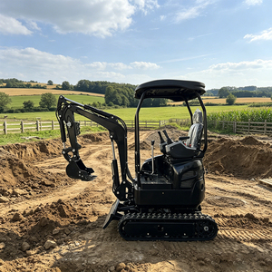 Mini-excavatrice agricole XJ-16 de 1,6 tonne avec moteur 5 cylindres, livraison gratuite, à vendre - Product Image 6