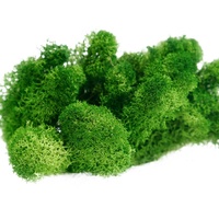O-X006 Pabrik Grosir Diawetkan Kering Sphagnum Moss Alam Nyata Stabil Rusa Diawetkan Moss