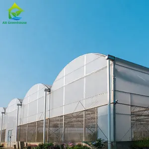 Aixiang Smart green house agricultural Modern multi-span plastic film greenhouses hoop house with hydroponics system