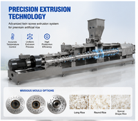 Extrudeuse automatique de riz artificiel à double vis en acier inoxydable haute capacité pour ligne de production de riz nutritionnel et riz fortifié
