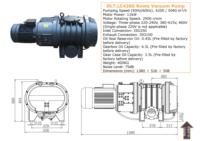 Bomba de Vacío Roots DLT.LC4200 de 15 HP, Industrial, Baja Presión, Hierro, 4200M/h, Motor Trifásico, Minería, Metalurgia, OEM