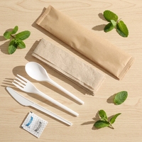 Ensemble de couverts jetables en plastique écologique japonais, compostable, emballé pour les fêtes, en Airlaid, pour les compagnies aériennes