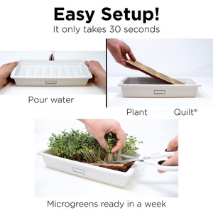 HAMAMA <span class=keywords><strong>Easy</strong></span> Setup Microgreens Growing Kit 3 Bandeja de cerámica Indoor s Mat Edredones Incluye Kale Broccoli Macetas - Product Image 2