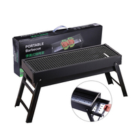 Barbecue portable pliable au charbon de bois pour camping en plein air, sans fumée, en fer, pour pique-niques et plage