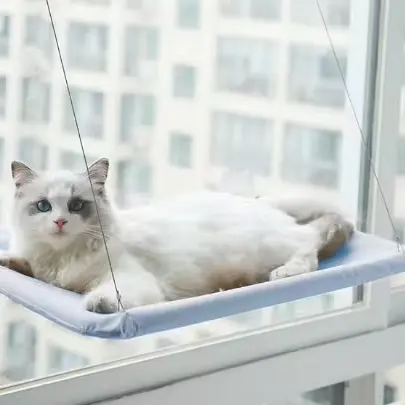 Sıcak pet ürünleri vantuz kedi hamak dört mevsim evrensel kedi hamak sökülebilir ve yıkanmış kedi yuva