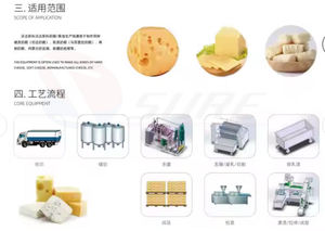 Máquina para hacer <span class=keywords><strong>mozzarella</strong></span> a pequeña escala, 50L, perfecta para inicio y restaurante - Product Image 2