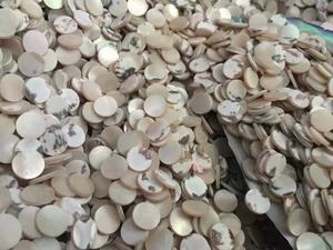 Botón de concha natural trocas/trochus en blanco para hacer botones de camisa - Product Image 1