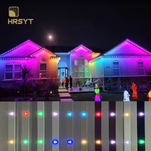 HRSYT Pixel LED Point Light Wholesale Price DC48V IP68 Waterproof UCS2904 RGB/RGBW APP Smart Control Christmas Decoration Lights