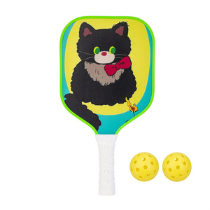 Raquette de pickleball pour enfants avec balles à 40 trous, divertissement sûr pour les enfants, forme standard, matériau en fibre de verre - Product Image 5