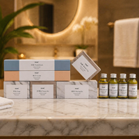 Kit de Hotel Desechable en Caja de Cartón Estándar, Tratamiento de Spa para Huéspedes, Calidad Premium para Huéspedes de Hoteles de Cinco Estrellas